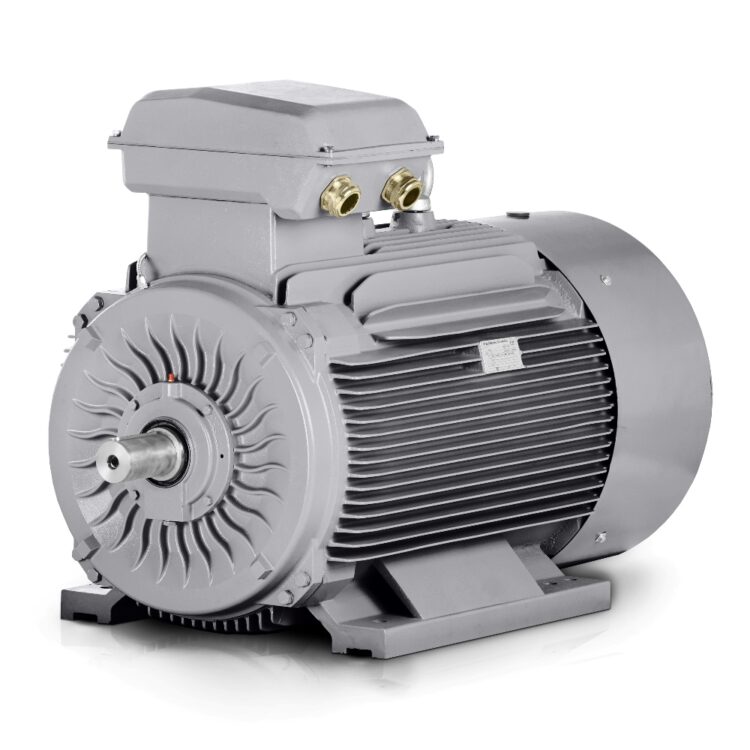 Motor eléctrico 450 kW 400V/690V (4 polos) 1500 rpm IE3-3LC Venta España